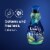 Downy Birch Water & Botanicals Infusions Liquid Fabric Softener Perspective: right