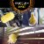 Swiffer Dusters Cleaning Kit Feather Duster Alternative Unscented Includes 1 Handle + Refills Perspective: right
