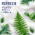 Downy Birch Water & Botanicals Infusions Liquid Fabric Softener Perspective: right