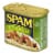 SPAM® Jalapeño Perspective: right
