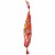 Hormel Original Pepperoni Snack Bites Perspective: right