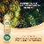 The Secret Nature of Fruit™ Spiced Pineapple Probiotic Fruit Soda Perspective: right