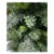 Holiday Home Burlington Spruce Tree with Clear Lights Perspective: right