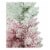 Holiday Home Creamsicle Fir Tree - Ombre Perspective: right
