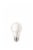 Everyday Living® 10.5-Watt (60-Watt) A19 LED Light Bulb - Daylight (5000K) Perspective: right
