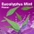 Kroger® Eucalyptus Mint Anticavity Mouth Rinse Perspective: right
