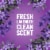 Pine-Sol Multi-Surface Floor Cleaner Lavender Clean Perspective: right