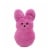Peeps® Plush Bunny Gift Set with Marshmallow Easter Bunnies Perspective: right