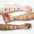 Maybelline The Matte Bar Eyeshadow Palette 300 Perspective: right