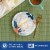 Dixie® Compostable 7 Inch Paper Plates Perspective: right