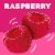 Jell-O Raspberry Gelatin Dessert Mix Perspective: right