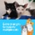 Fresh Step Multi-Cat Extra Strength Scented Litter with Febreze Clumping Cat Litter Perspective: right