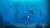 Nintendo Switch™ Endless Ocean Luminous Perspective: right