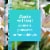 Glade PlugIns Refills Air Freshener, Dewdrop Petals, 1.34 Oz, 2 Count Perspective: right