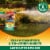 OFF! Backyard Bug Control Pretreat, Insect Control Treatment with Hose Spray, 32 oz Perspective: right