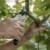 Fiskars Ultrablade Bypass Pruner - Black/Orange Perspective: right