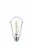 Philips 5.5-Watt (60-Watt) ST19 Vintage LED Dimmable Light Bulb - Soft White (2700K) Perspective: right