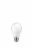 Philips 5-Watt (40-Watt) A19 LED Light Bulbs Perspective: right
