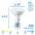 Philips 7.2-Watt (65-Watt) BR30 LED White Dial Light Bulb - 5 Shades of White Perspective: right