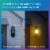 Philips Dusk to Dawn, 60Watt Replacement, Edison Vintage ST19 LED Light Bulb, Soft White Light Bulb Perspective: right
