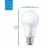 WIZ LED 60W A19 Tunable White Light Bulb Perspective: right