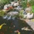 TetraPond Pond Sticks, Pond Fish Food, for Goldfish and Koi, 1.72 Pounds Perspective: right