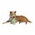 Manhattan Pet Toy Squeaks-A-Lot Scout Squirrel Sherpa-Style Soft Squeaker Dog Toy Perspective: right