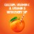 Tropicana Pure Premium Original No Pulp No Sugar Added Calcium And Vitamin D 100% Orange Juice Perspective: right