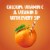 Tropicana Pure Premium Original No Pulp No Sugar Added With Calcium + Vitamin D 100% Orange Juice Perspective: right