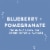 Aha® Blueberry Pomegranate Flavored Sparkling Water Cans Perspective: right