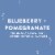 Aha® Blueberry Pomegranate Flavored Sparkling Water Cans Perspective: right