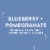 AHA® Blueberry Pomegranate Flavored Sparkling Water Can Perspective: right