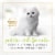 Purina Fancy Feast Kitten Wet Cat Food Pate Tender Turkey Feast Perspective: right