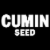 McCormick Cumin Seed Shaker Perspective: right