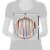 American Greetings Paper Plates Multi-Colored Lines Perspective: right