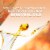 Air Wick Plug in Scented Oil Refill Pumpkin Spice Air Freshener Essential Oils Perspective: right