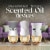 Air Wick Scented Oil Refill, Holiday Plug In, Fall Air Freshener, Glowing Campfire and Starlit Sky Perspective: right