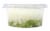 Fresh Pak Diced Pepper with Onion Perspective: right