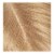 L'Oreal Paris Magic 8 Medium Blonde Root Rescue 10 Minute Root Hair Coloring Kit Perspective: right