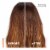 L'Oreal Paris EverPure Volume Conditioner Sulfate Free for Reviving Fine, Flat Hair Perspective: right