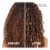 L'Oreal Paris EverPure Deep Nourish Shampoo Sulfate Free for Dry Hair Perspective: right