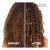 L'Oreal Paris EverPure Deep Nourish Conditioner Sulfate Free for Dry Hair Perspective: right