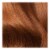L'Oreal Paris Le Color Gloss Copper Toning Gloss Perspective: right