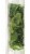 Dole Power Up Baby Kale & Greens Perspective: right