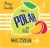 Polar Seltzer'ade® Mango Limeade Seltzer Cans Perspective: right
