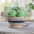 Blue Bell® Gold Rim Assorted Flavors Ice Cream Tub Perspective: right