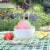 Blue Bell® Rainbow Sherbet Tub Perspective: right