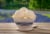 Blue Bell No Sugar Added Country Vanilla Ice Cream Tub Perspective: right
