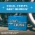 AC Golden Cold Crush Crispy Lager Craft Beer Perspective: right