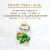 Bigelow Benefits Focus Moringa and Black Tea Bags Perspective: right